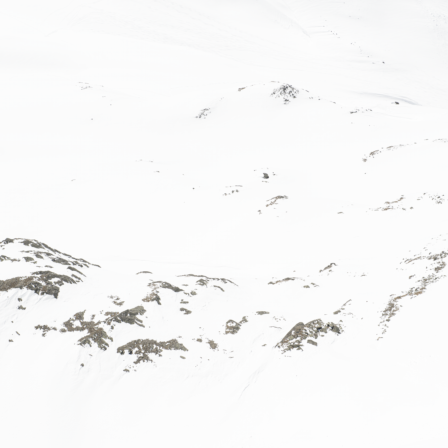 Edition White Mountain XI