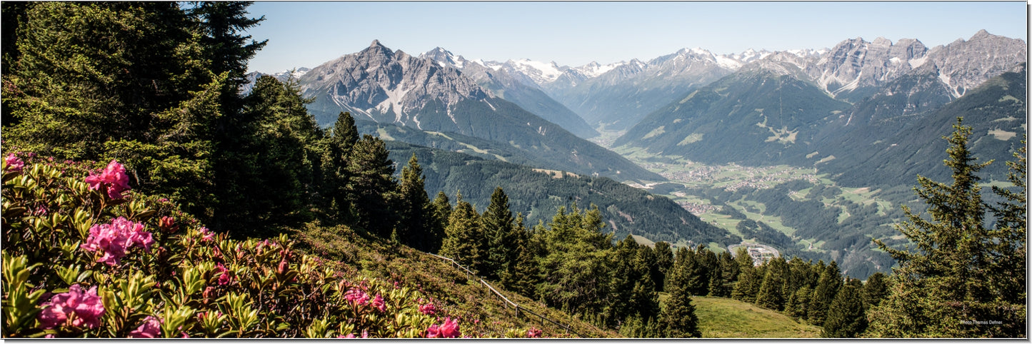 Blick vom Patscherkofel ins Stubaital (Pan 186)